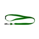 Ремешок с пряжкой и металлическим зажимом зеленый ST-AC202LY-GN Smartec