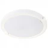 Накладной светильник Arte Lamp Biscotti A2679PL72WH