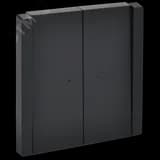 FORTE&PIANO Выключатель 2-клавишный с индикацией 10А FP106 черный IEK