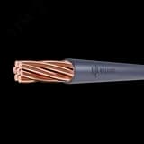 Провод ПуВнг(А)-LSLTx 1х50 Ср ТРТС ЦВЕТЛИТ КЗ