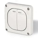 Выключатель однополюсный двухклавишный