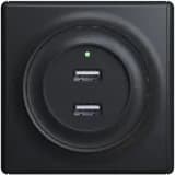 Розетка USB 2-м СП Florence 16А IP20 с подсветкой механизм черн. (1E10351303) OneKeyElectro 2260092