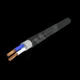 Кабель силовой ПвВГ 2х25 мк(N)-0,66 Ч, бар