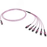 Сборка оптическая разветвительная 12ОВ 50/125 OM4. 1хMTP PRO(12)/6хLC Dupleх Uniboot. 2м (предустановленная конфигурация: MTP Male . тип полярности - прямая (Tх-Rх) DKC