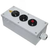 Пост управления ПКУ-15-21.131-40У2 (2хКЕ011/2(1з+1р) черная + 1хКЕ011/2(1з+1р) красная + PG-19)