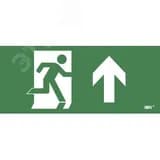 Этикетка самокл. 330х140мм Фигура/стр. вверх IEK