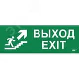 Этикетка самоклеящаяся 280х100мм "Выход/лестница вверх/фигура" IEK