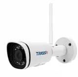 Уличная цилиндрическая IP видеокамера 2 Мп (Wi-Fi, 3.6 mm, PoE) TR-D2121IR3W v3 3.6 Trassir