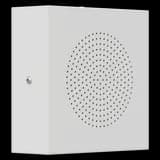 Громкоговоритель настенный ROXTON WS-06T антивандальный