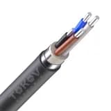 Кабель TOKOV ELECTRIC АВБШв 4х10 ОК (N) 0.66кВ (м) УТ000030770
