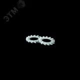 Шайба зубчатая М10 DIN 6798 A (упак. 200 шт)