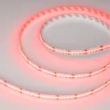 Лента CSPX84012mm 24V RGBWWarm 172 Wm IP20 5m Arlight 5 лет 046937