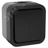 Выключатель двухклавишный TORS 10А IP55 графит