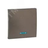 Валенсия лицевая панель выключателя 1-кл. с индикатором 10А графит EKF