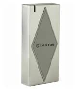 Считыватель Tantos TS-RDR-EHMF Metal