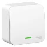 Переключатель BLANCA одноклавишный наружный (схема 6) с подсветкой и изоляционной пластиной 10а 250b белый Systeme Electric