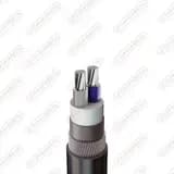 Кабель силовой АПвКШвнг(А) -LS 2х70 мк(N)-1