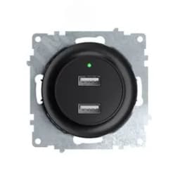 Розетка USB двойная, с подсветкой, цвет черный 2260092 ССТ