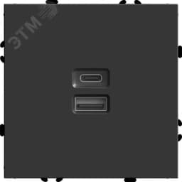 Розетка 2-местная USB + Type C (механизм), 250В, 20W, серия Эмили,, черный уголь, soft touch