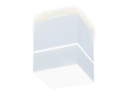 Накладной светодиодный точечный светильник Ambrella Light TN257