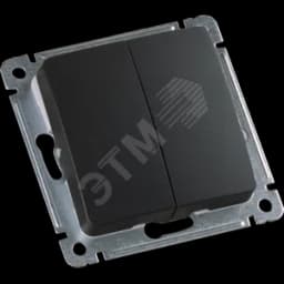 MASTER Переключатель двухклавишный скрытой установки, в рамку, черный