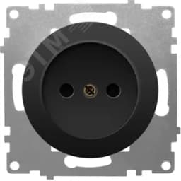 Розетка без заземления, винтовые контакты, цвет чёрный (серия Florence) 2172812 ССТ
