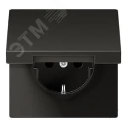 Штепсельная розетка SCHUKO одинарная, с заземлением, с шторками, с откидной крышкой, 16A, 250В  (механизм + накладка, без рамки). Серия LS990  Материал- металл  Цвет- антрацит JUNG