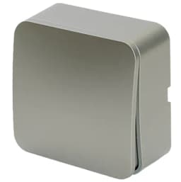 Выключатель открытой установки 1клавишный STEKKER 250В 10А IP20 серия София серебро MSW101003 49295