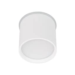 Светильник SPCYLINDOR757W Day4000 WH 110 deg 230V Arlight IP54 Металл 3 года 041246