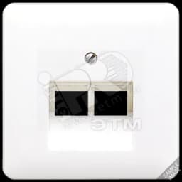 Крышка для сдвоенной телефонной и компьютерной розетки UAE золотая бронза JUNG