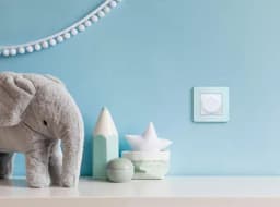 Рамка 1-м Inspiria мятн. Leg 673935