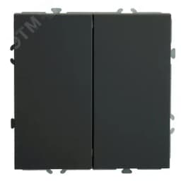 Переключатель 2-клавишный (механизм), 250В, 10А, серия Эмили, черный уголь, soft touch