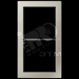 Рамка 2 поста благородная сталь