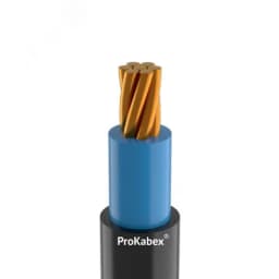 Кабель силовой ВБШвнг(А)-FRLS 1х25мк(PE)-0,66 ТРТС