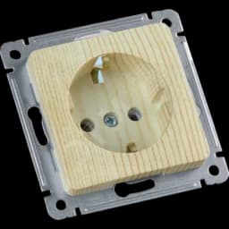 MASTER Розетка одноместная с заземляющим контактом, скрытой установки, в рамку, сосна