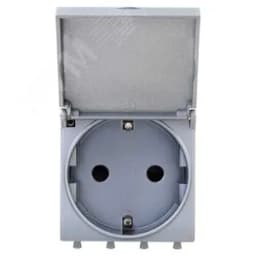 Avanti Розетка с крышкой модульная 2P+E с з/ш Закаленная сталь2 модуля DKC