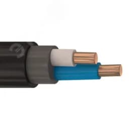 Кабель силовой ППГнг(А)-HF 2х4 ок (N) -1 кВ ТРТС