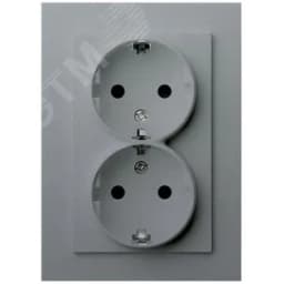 Розетка Schuko двойная с защитными шторками 16A 250V~ 2P+T, цвет Алюминий