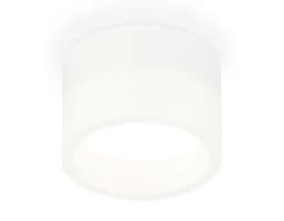 Комплект накладного светильника с акрилом Ambrella Light XS8101015