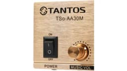Усилитель Tantos TSo-AA30M