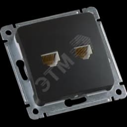 MASTER Розетка компьютеная и телефонная скрытой установки, в рамку, черный