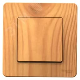 BLANCA скрытой установки одноклавишный выключатель (cх.1), 10A, 250B, ясень Systeme Electric