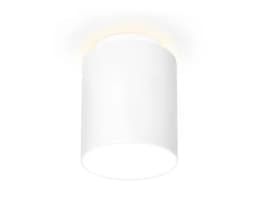Накладной светодиодный точечный светильник Ambrella Light TN261