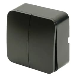 Выключатель открытой установки 2клавишный STEKKER 250В 10А IP20 серия София черный матовый MSW102005 49475