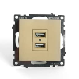 Розетка 2местная USB механизм STEKKER GLS10711508 250В 21А серия Катрин золото 49229