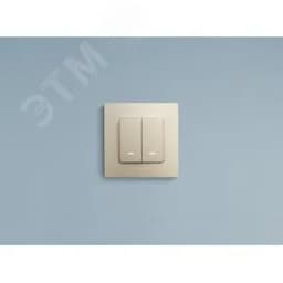 ETIKA Выключатель двухклавишный с подсветкой слоновая кость безвинтовые зажимы 10АХ