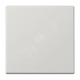 Клавиша 1-я для выключателей и кнопок  без подсветки. Серия LS990  Материал- дуропласт  Цвет- светло-серый