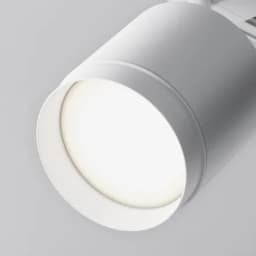 Трековый светильник Technical TR0881GX53W