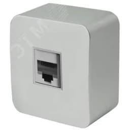 Розетка компьютерная одноместная RJ-45 серия София серебро STEKKER FERON