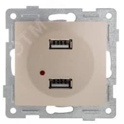 Розетка USB Bravo, механизм, двойной, шампань GUSI Electric